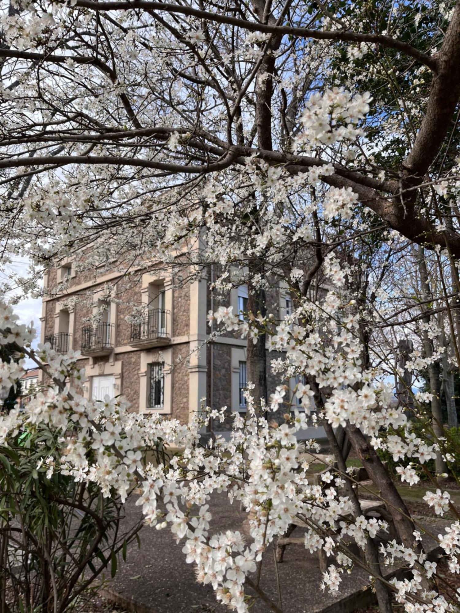 Villa Merenciana Agoncillo 外观 照片